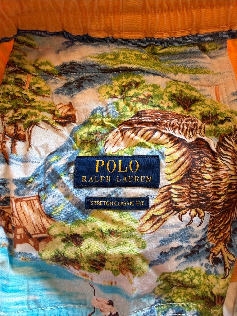 Polo Ralph Lauren Shorts. Men's Medium. - Picture 4 of 5